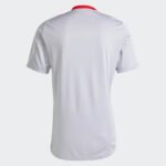 camisa-treino-internacional-cinza-2025-26-masculina