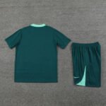 Kit Short e Camisa Tottenham Treino Verde 202/25