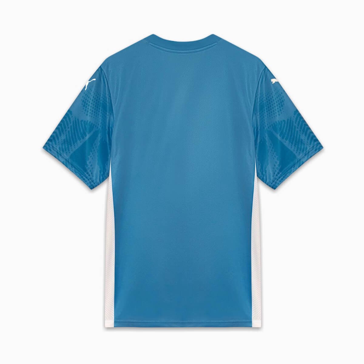 camisa-palmeiras-goleiro-azul-2025-26-masculina- Camisa Palmeiras Goleiro Azul 2025/26 Masculina