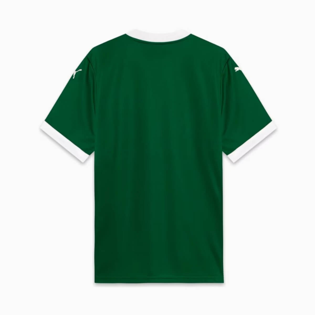camisa-palmeiras-verde-2025-26-titular-feminina- Camisa Palmeiras Verde 2025/26 Titular Feminina