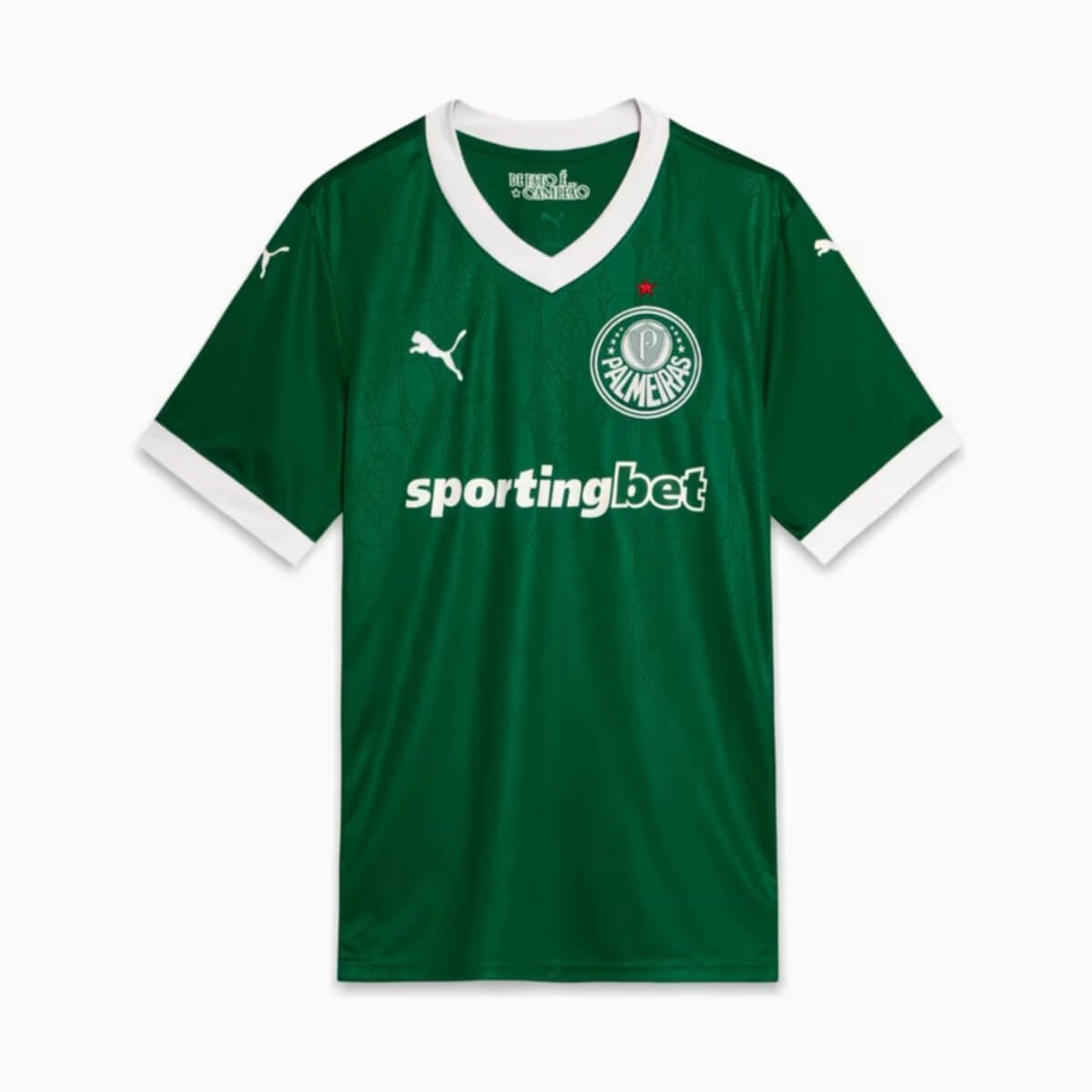 camisa-palmeiras-verde-2025-26-titular-feminina Camisa Palmeiras Verde 2025/26 Titular Feminina