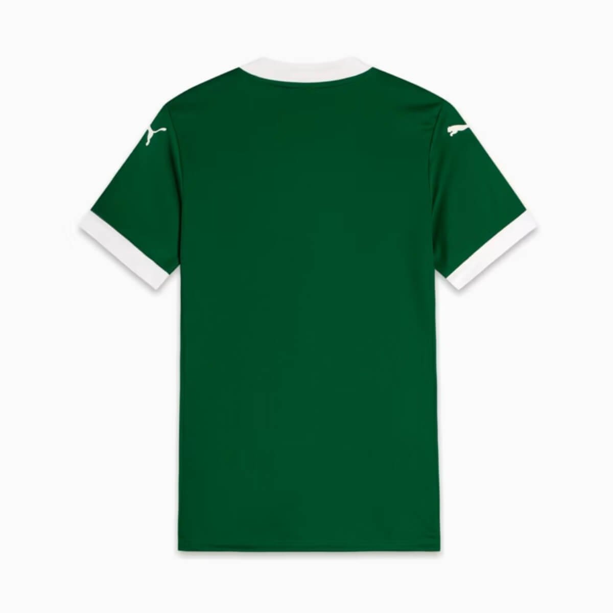 camisa-palmeiras-verde-2025-26-titular-masculina- Camisa Palmeiras Verde 2025/26 Titular Masculina