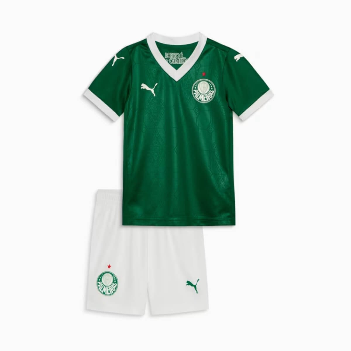 kit-infantil-palmeiras-verde-2025-26-titular-unissex Kit Infantil Palmeiras Verde 2025/26 Titular Unissex
