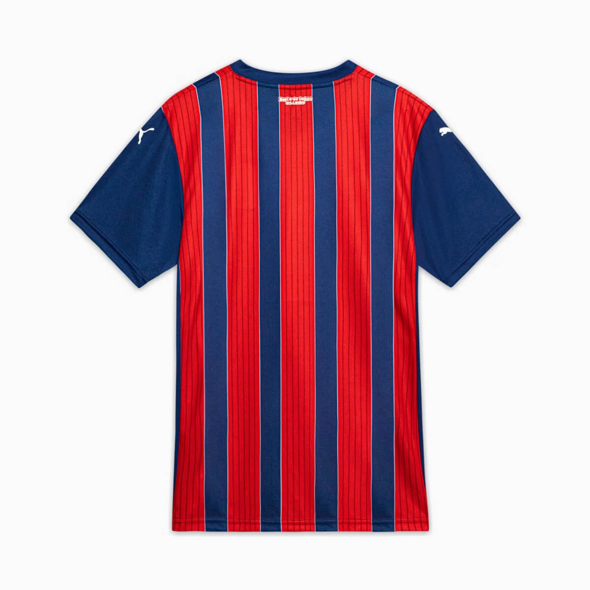 camisa-bahia-tricolor-vermelha-reserva-2025-26-masculina- Camisa do Bahia Tricolor Vermelha 2025/26 Reserva Masculina