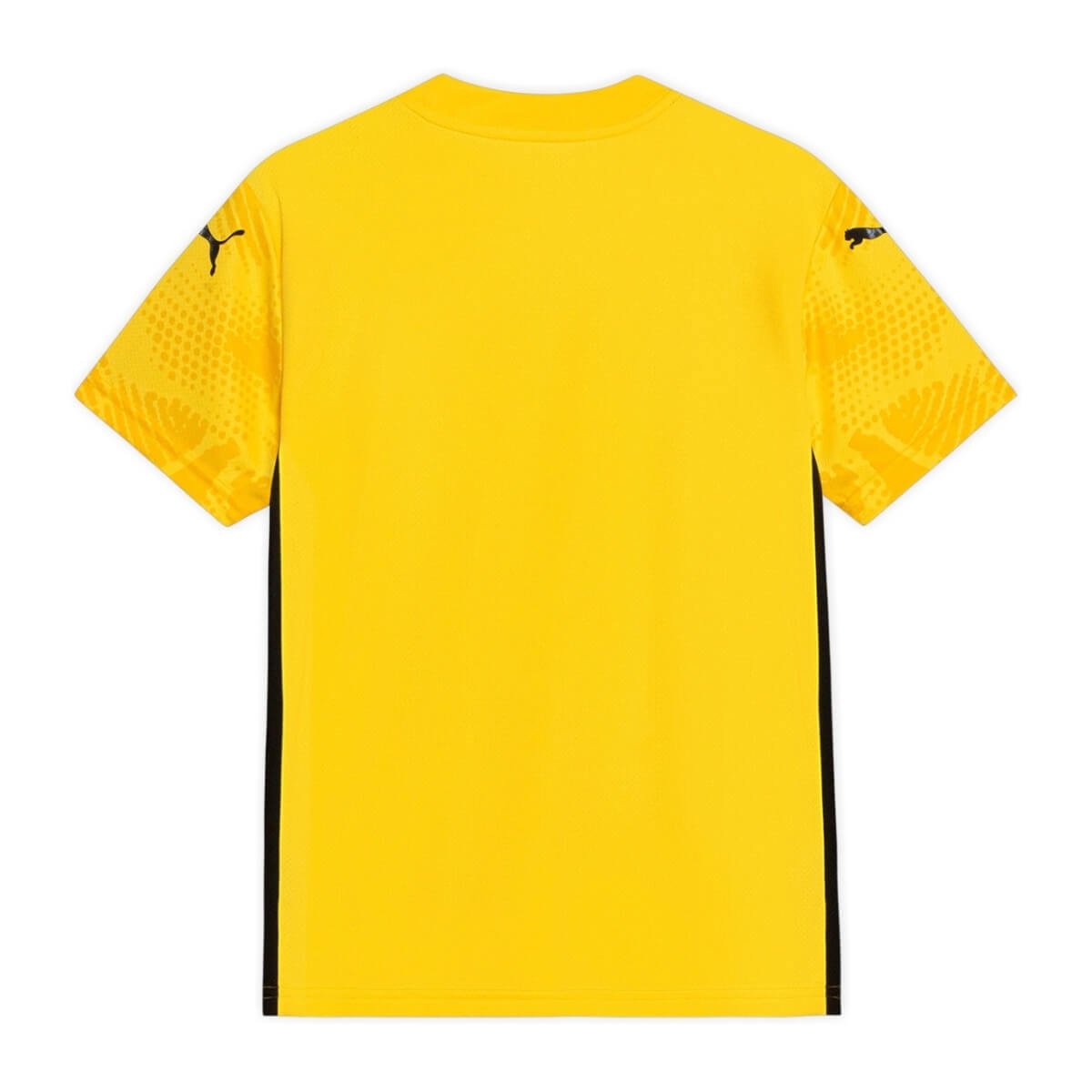 camisa-bahia-ec-goleiro-amarela-2025-26-masculina- Camisa Bahia EC Goleiro Amarela 2025/26 Masculina