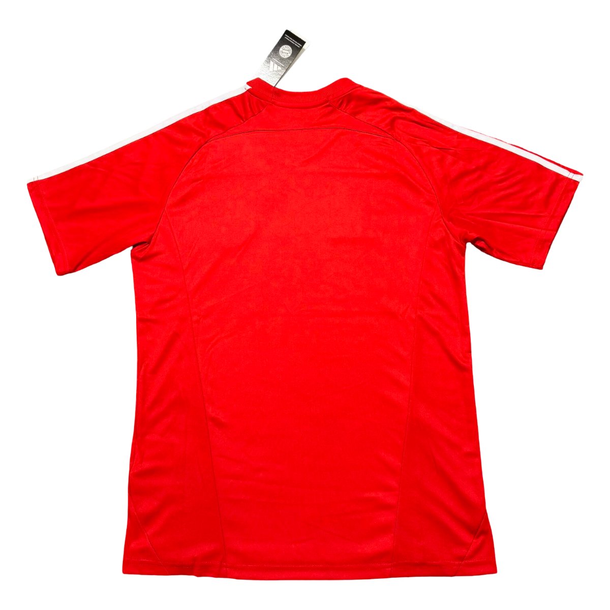camisa-bayern-de-munique-trieno-vermelha-2025-26-masculina- Camisa Bayern de Munique Treino Vermelha 2025/26 Home Masculina