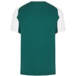 camisa-panathinaikos-fc-verde-2025-26-home-masculina