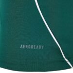 camisa-panathinaikos-fc-verde-2025-26-home-masculina