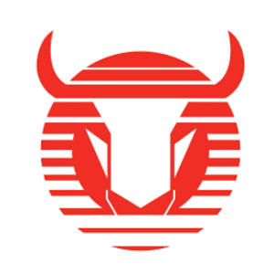 Toros Neza FC
