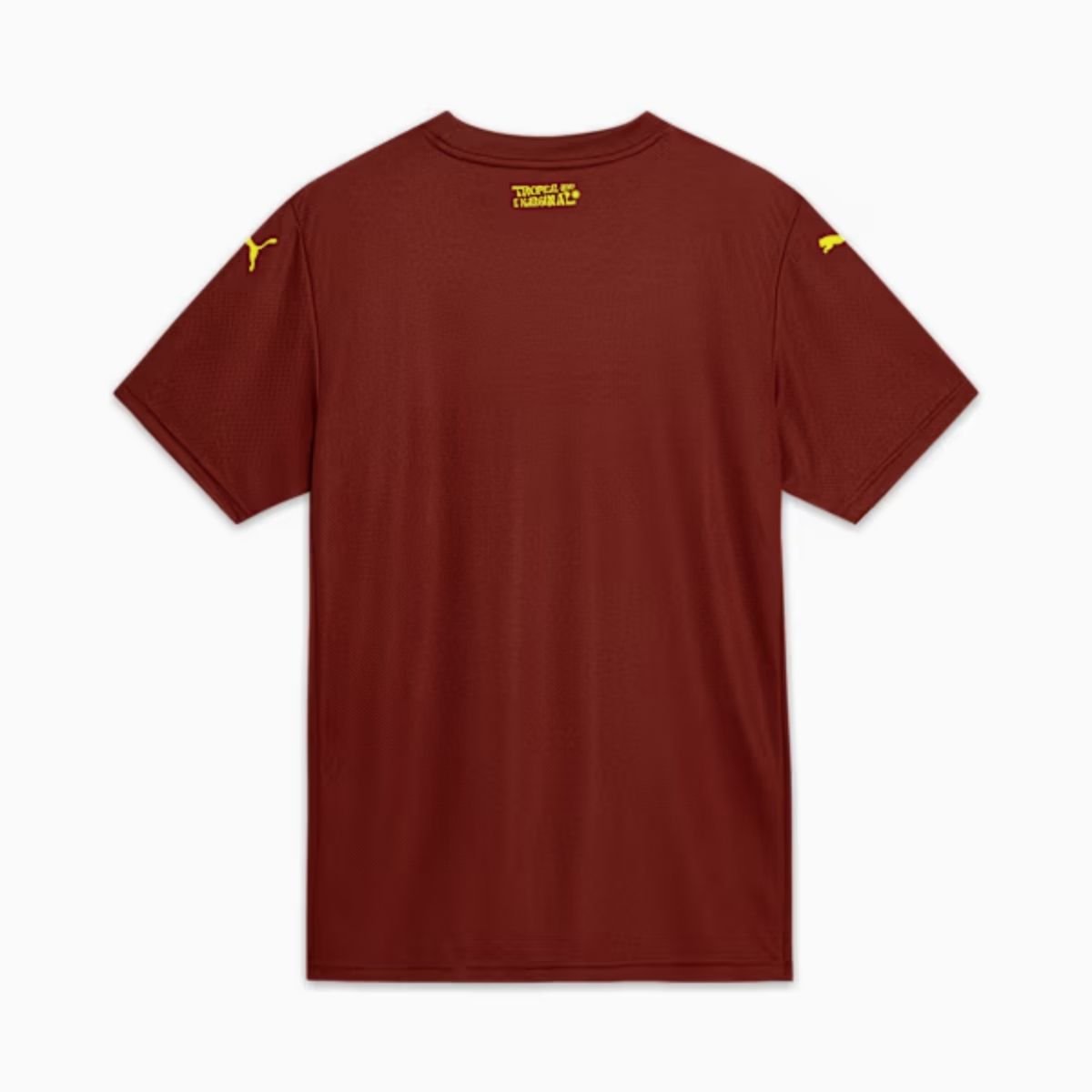 camisa-bahia-ec-vinho-2025-26-terceira-masculina (1) Camisa Bahia EC Vinho 2025/26 Terceira III Masculina