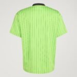 camisa-celtic-fc-verde-2025-26-terrace-icons-champions-masculina