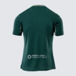 camisa-norwich-city-verde-2025-26-away-masculina