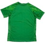 camisa-psg-verde-goleiro-2025-26-jordan-masculina
