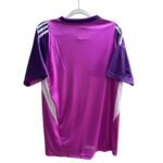 camisa-argentina-roxo-goleiro-2025-26-masculina