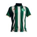 camisa-chapecoense-titular-verde-2026-27-masculina-atletico-nacional