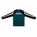 blusao-moletom-liverpool-verde-retro-1995-masculina