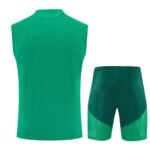 kit-treino-regata-argelia-2026-27-verde-masculino