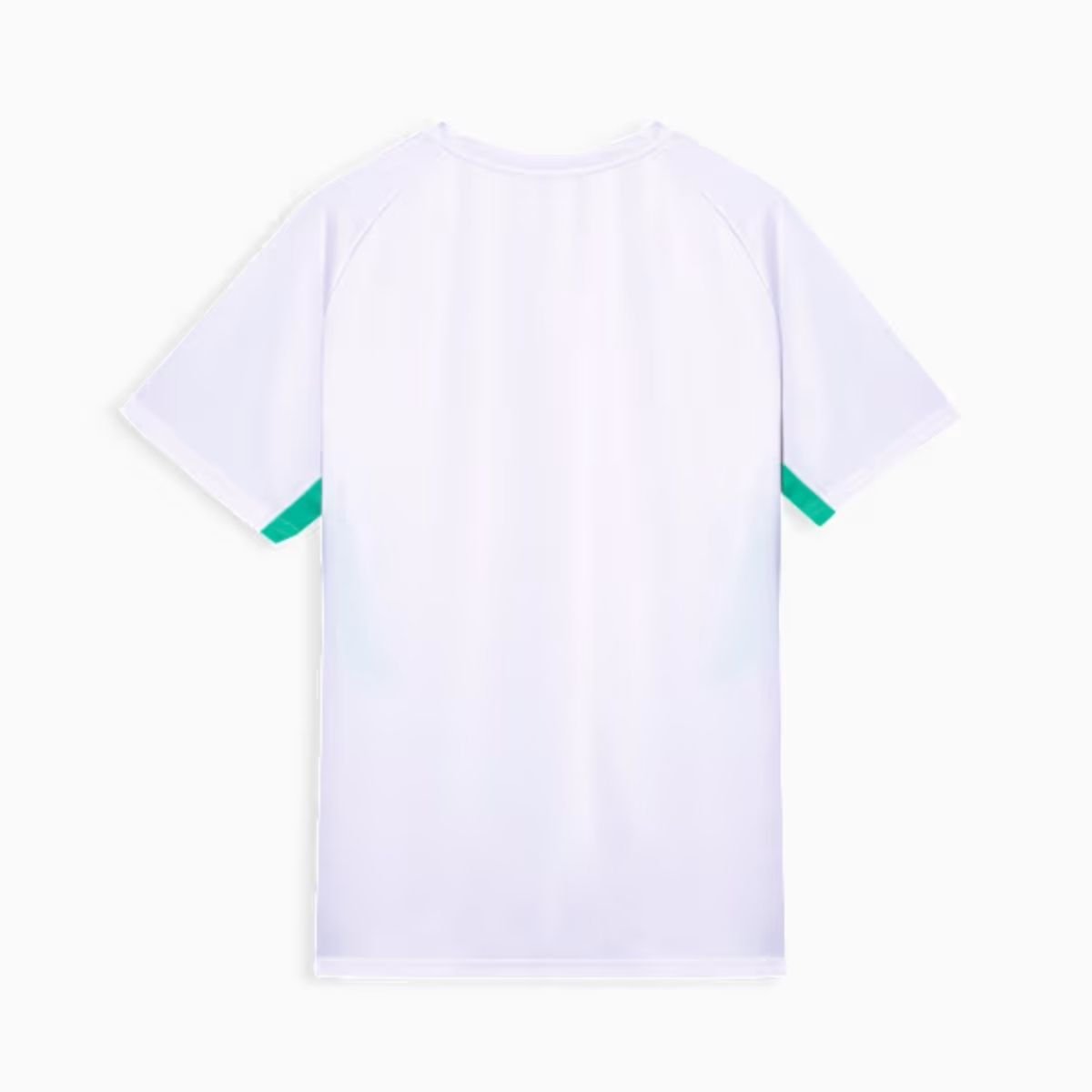 camisa-palmeiras-branca-2026-27-treino-masculina (1) Camisa Palmeiras Branca 2026/27 Treino Masculina