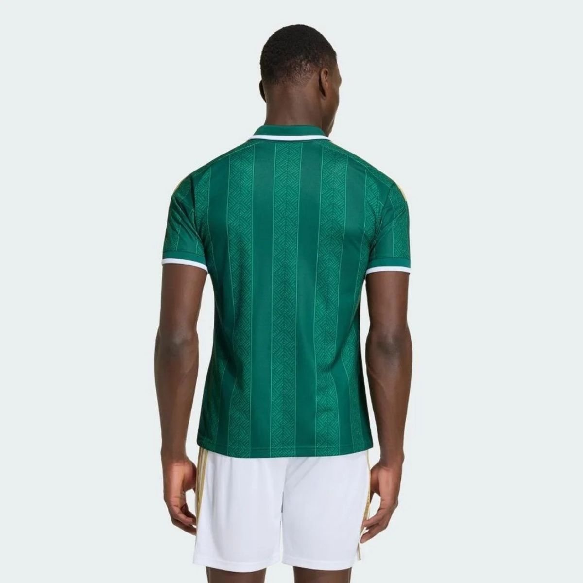 camisa-selecao-africa-do-sul-ii-2026-adidas-originals-masculina-FBA-85RQ-060 (2) Camisa África do Sul Verde Copa 2026/27 Away II Originals Masculina